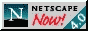 nets_now.gif (1104 bytes)