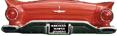 tbrdbumpr1.gif (83784 bytes)